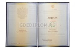 диплом дизайнера вуз 2010-2011